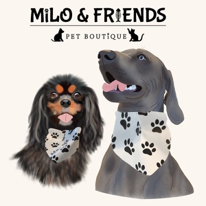 Team Page: Milo & Friends Pet Boutique